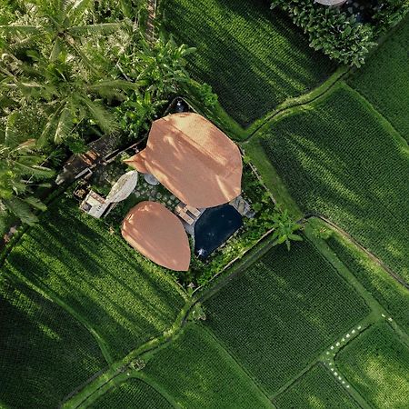 Arapan Ubud Eco Villa Екстер'єр фото