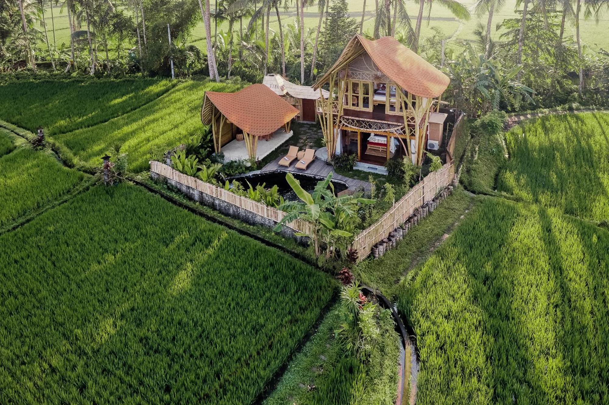 Arapan Ubud Eco Villa Екстер'єр фото