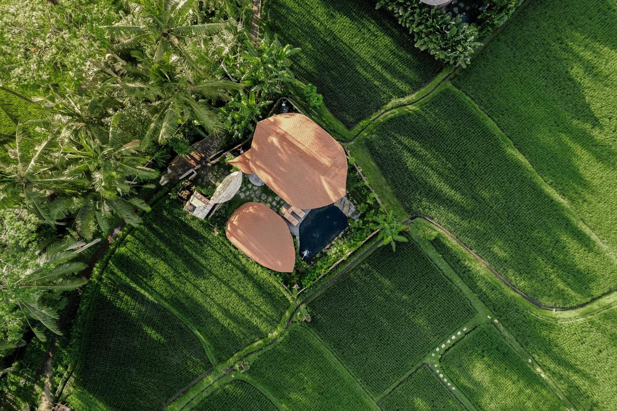Arapan Ubud Eco Villa Екстер'єр фото